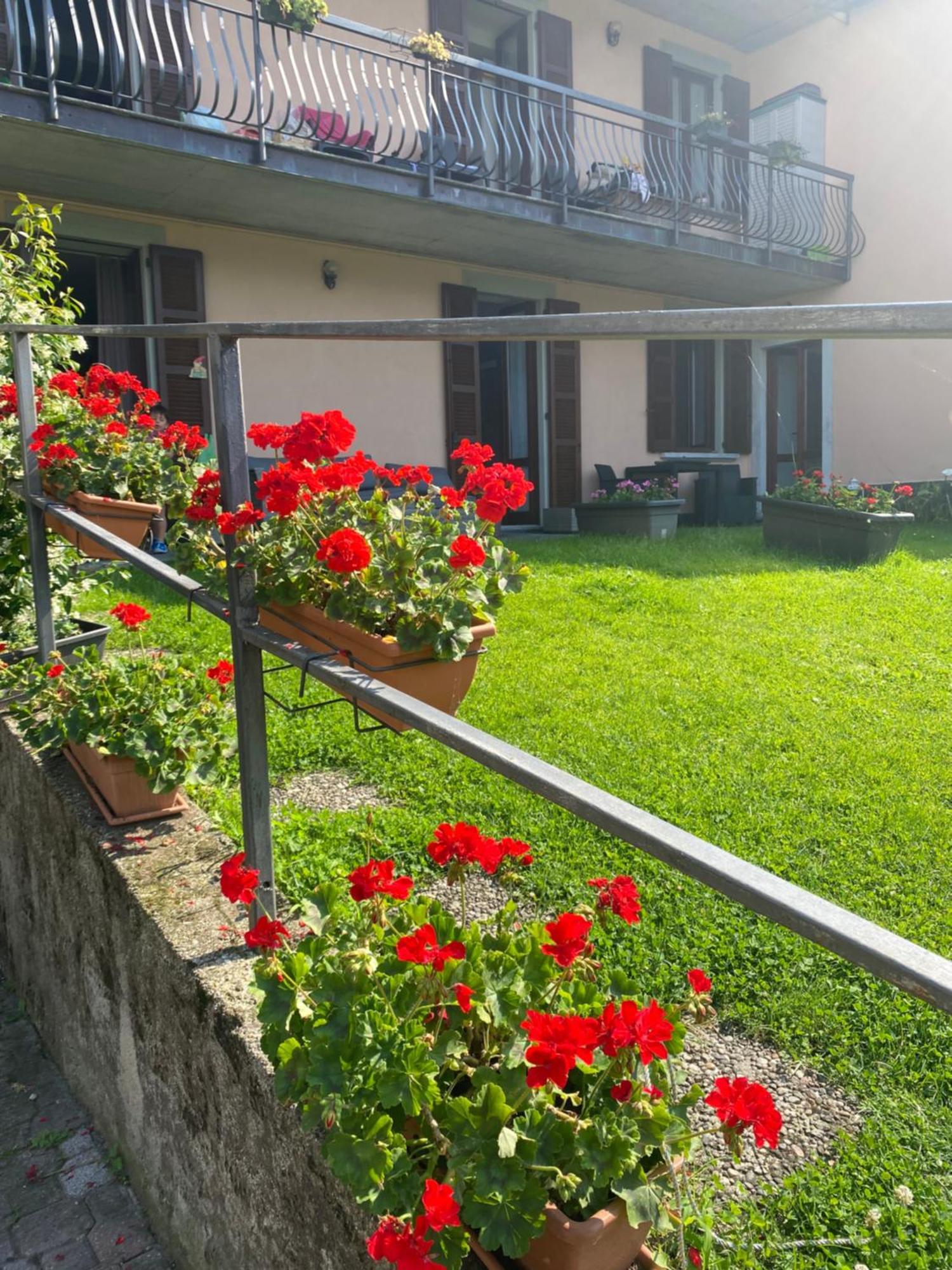 Peonia Apartment - Appartamento Vista Lago ليتْسّينو المظهر الخارجي الصورة