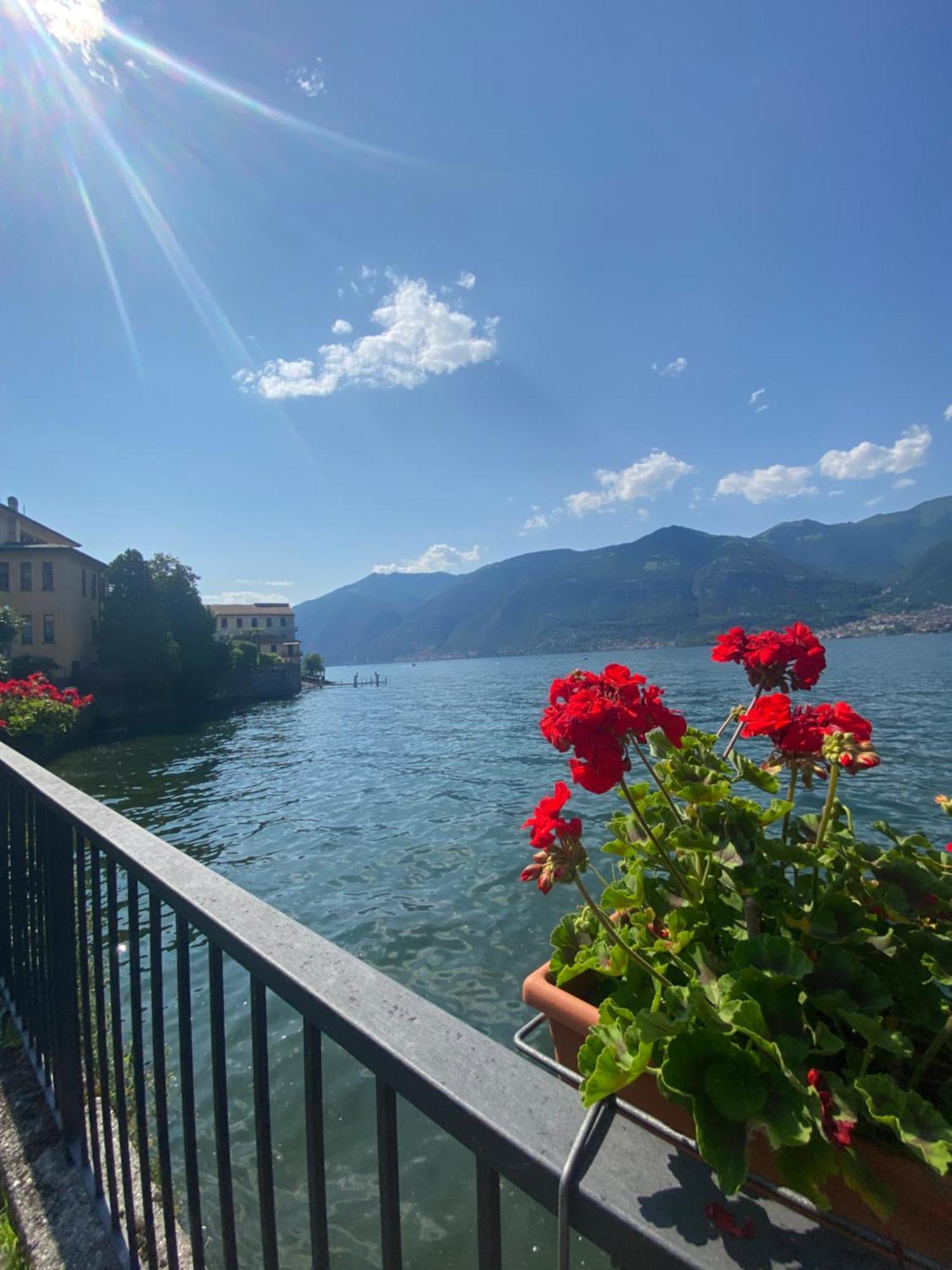 Peonia Apartment - Appartamento Vista Lago ليتْسّينو المظهر الخارجي الصورة
